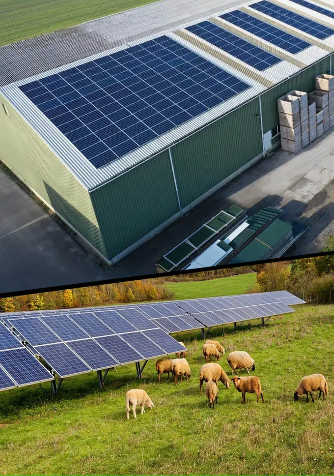 Installation de panneaux solaires sur un hangar agricole de grande surface